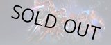 画像: ※予約商品　7月12日発売【未開封スタートデッキ】Zeon's Rush【ガンダムカードゲーム】
