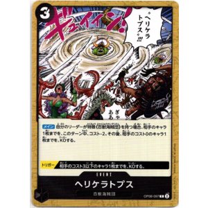 画像: ヘリケラトプス