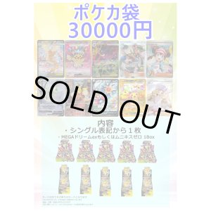画像: 『1』【ポケカオリパ】ポケカ袋【30000円 全10本】