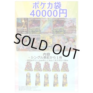 画像: 『1』【ポケカオリパ】ポケカ袋【40000円 全10本】