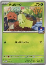 画像: チコリータ