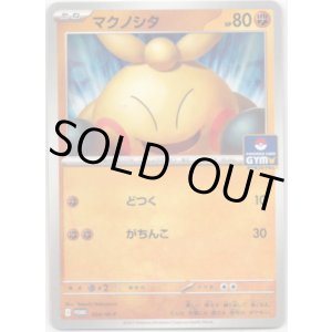 画像: マクノシタ