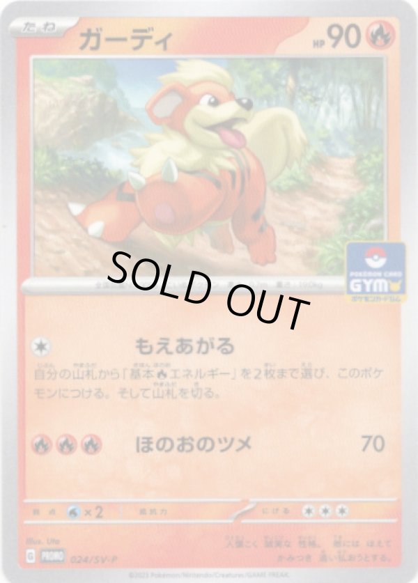 画像1: ガーディ