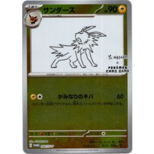 画像: サンダース(YU NAGABA）