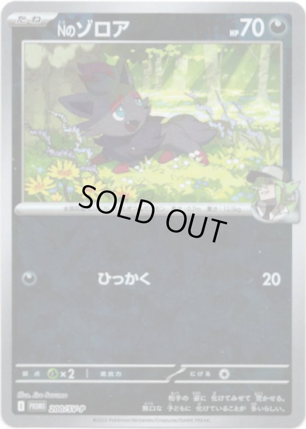 画像1: Nのゾロア