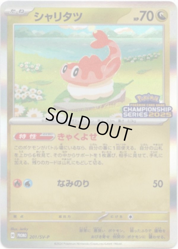 画像1: シャリタツ