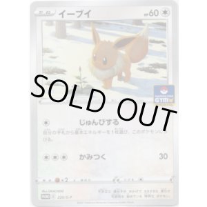 画像: イーブイ