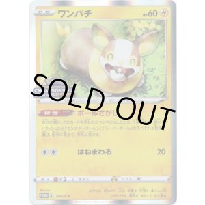 画像: ワンパチ