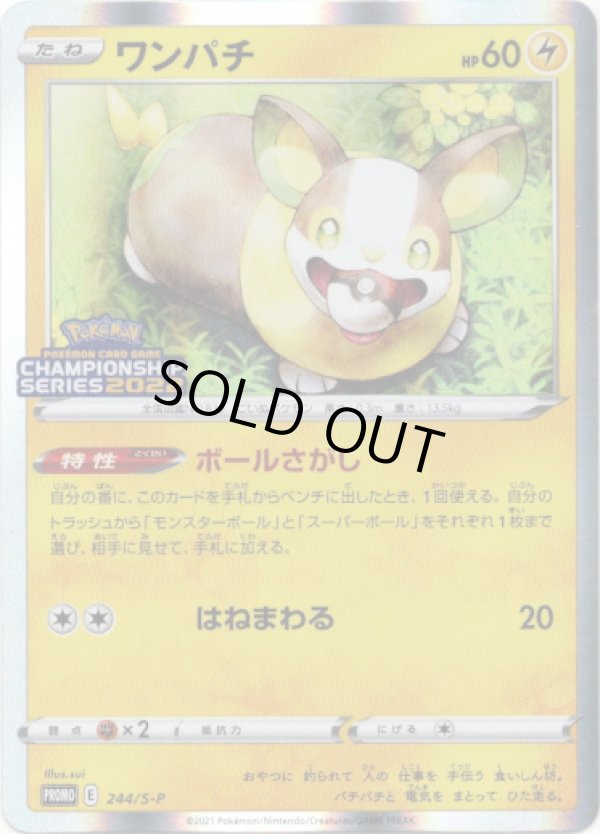 画像1: ワンパチ