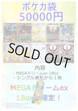 画像: 【ポケカオリパ】MEGA冬袋【50000円 全10本】