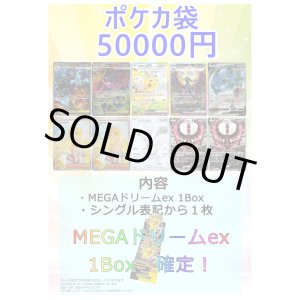 画像: 【ポケカオリパ】MEGA冬袋【50000円 全10本】