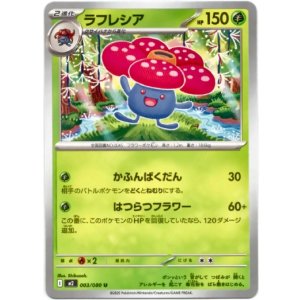 画像: ラフレシア