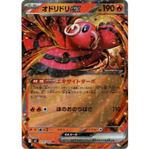 画像: オドリドリex