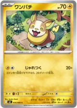 画像: ワンパチ