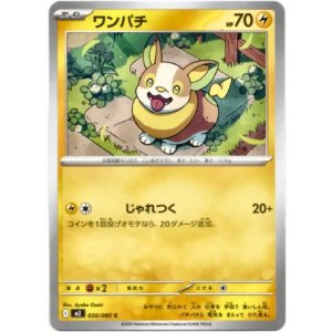 画像: ワンパチ