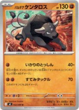 画像: パルデア ケンタロス