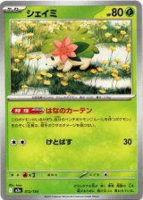 画像: シェイミ