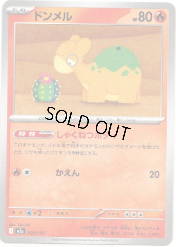 画像1: 【エネルギー柄ミラー】ドンメル