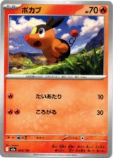 画像: ポカブ