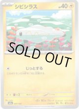 画像: 【クイックボール柄ミラー】シビシラス