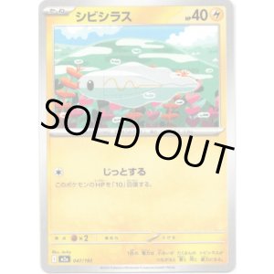 画像: 【クイックボール柄ミラー】シビシラス