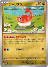 画像: シャリタツ