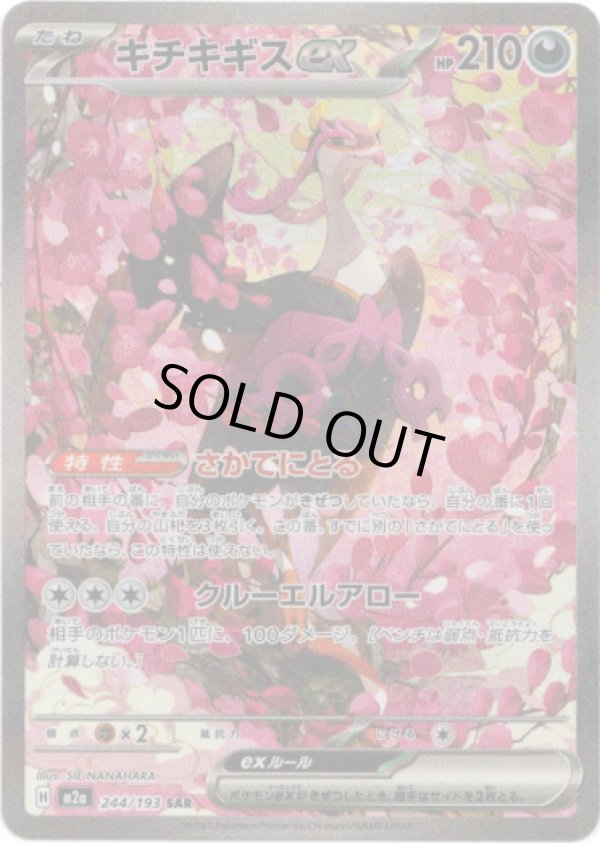 画像1: 【SAR】キチキギスex