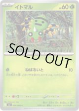 画像: イトマル