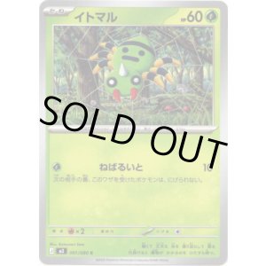 画像: イトマル