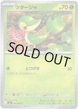 画像: ツタージャ