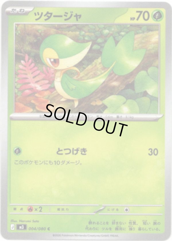 画像1: ツタージャ