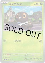 画像: コフキムシ