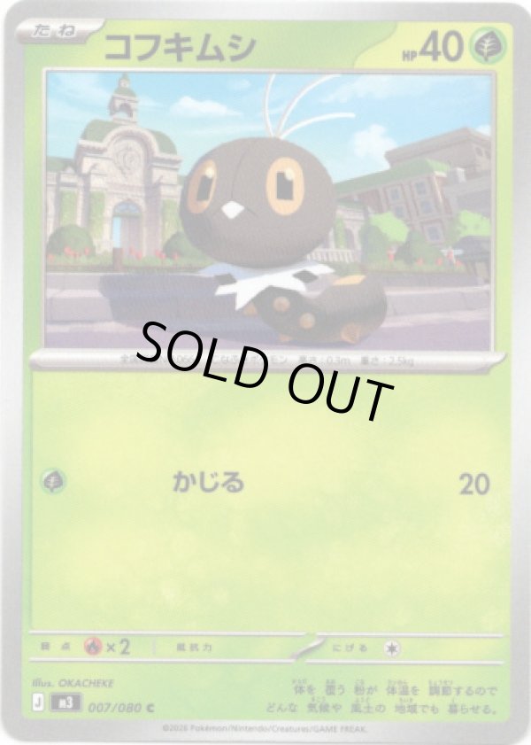 画像1: コフキムシ