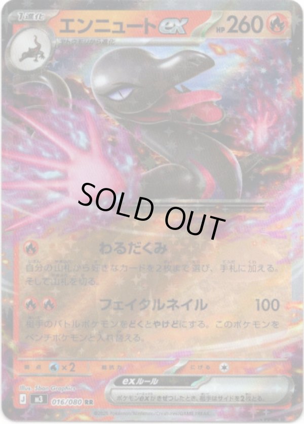 画像1: エンニュートex