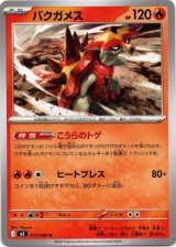 画像: バクガメス