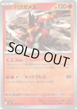 画像: バクガメス