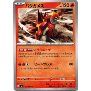 画像: バクガメス