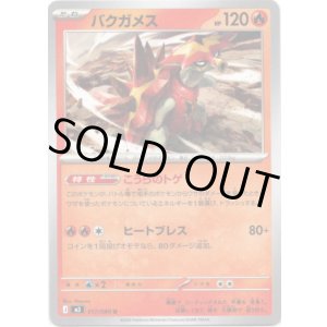 画像: バクガメス