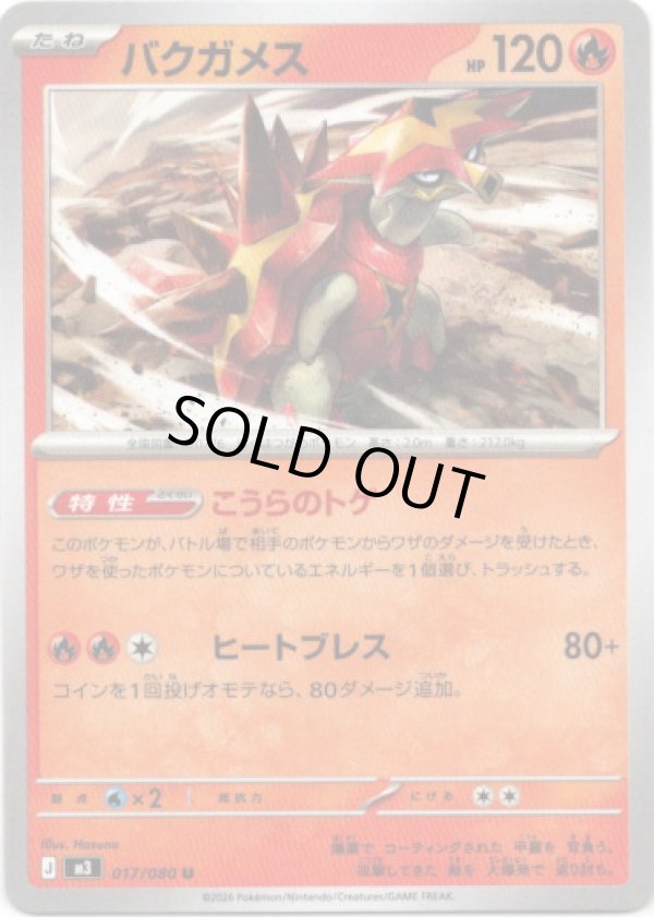 画像1: バクガメス