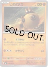 画像: ヒポポタス