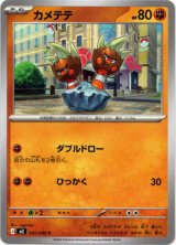 画像: カメテテ