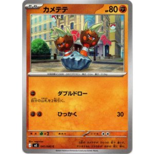 画像: カメテテ