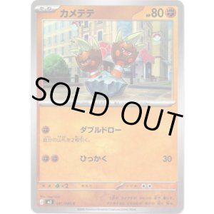 画像: カメテテ