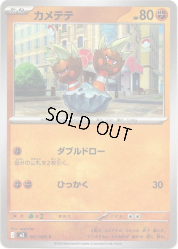 画像1: カメテテ