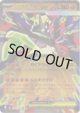 画像: メガジガルデex