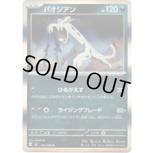 画像: パオジアン