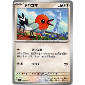 画像: ヤヤコマ