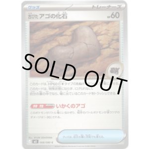 画像: 古びたアゴの化石