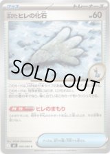 画像: 古びたヒレの化石