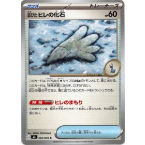 画像: 古びたヒレの化石